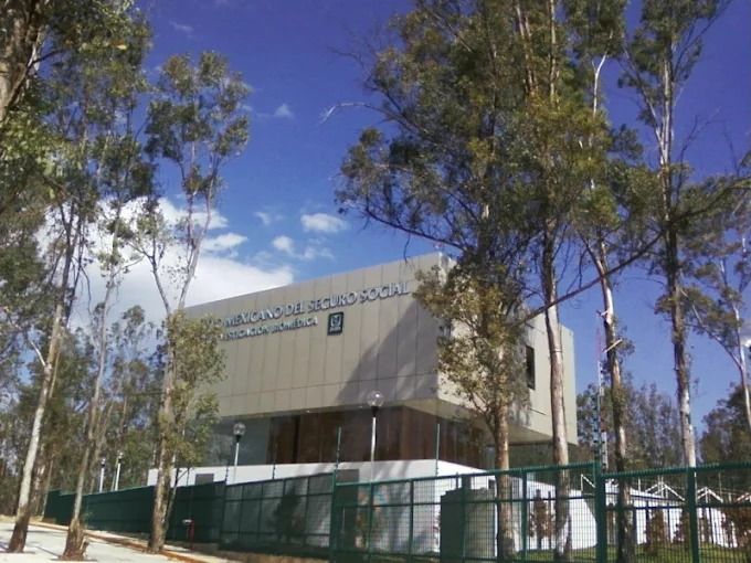 Recomienda IMSS Michoacán cuidar salud cerebral y evitar factores que deterioren su funcionamiento