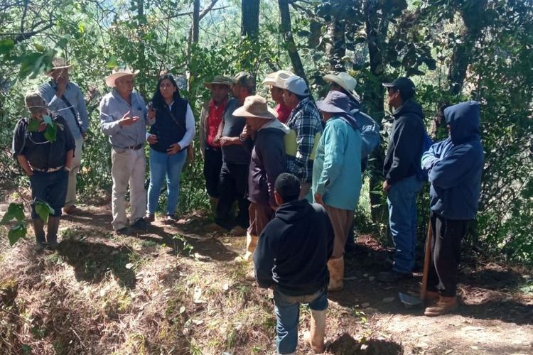 Esta es la alternativa de productores de Zitácuaro para eficientar el uso del agua para riego