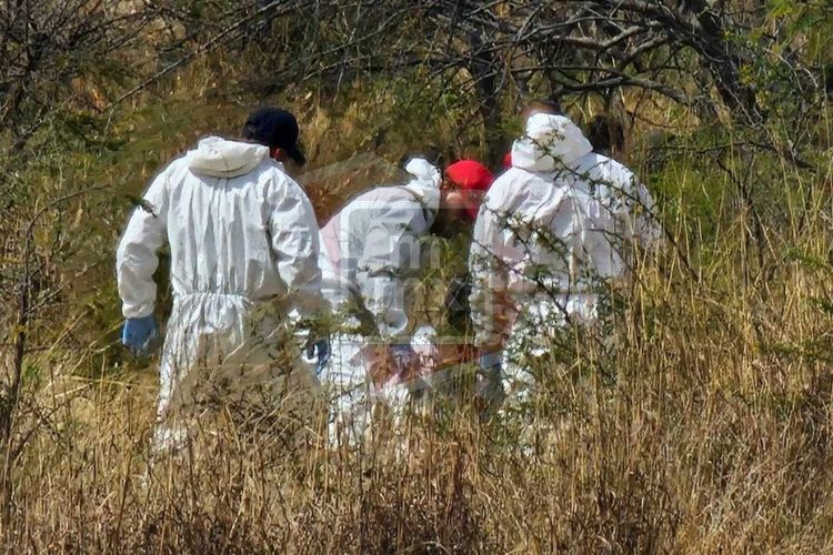 Hallan cabeza humana en Singuio, Álvaro Obregón