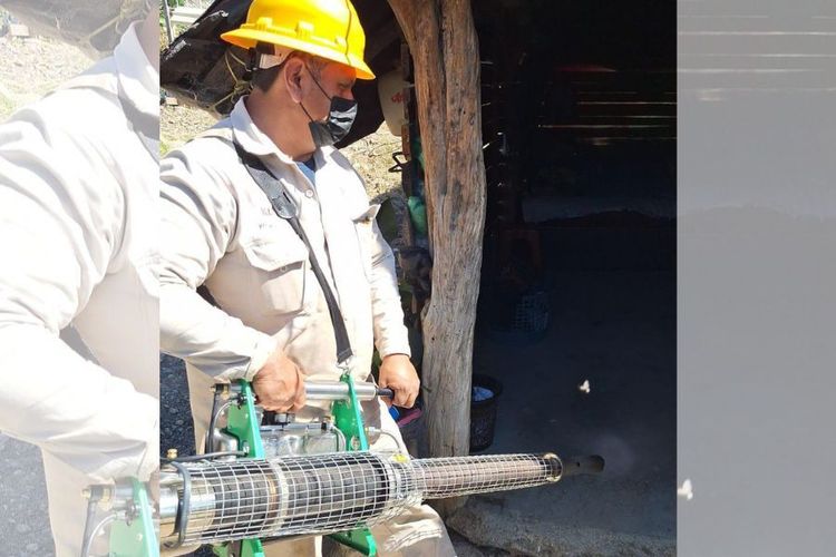 Sin tregua la contención y combate contra el dengue: SSM