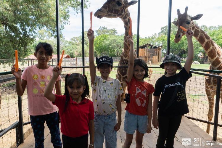 Zoológico de Morelia invita este viernes a un Día en el Aula Viva
