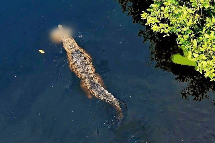 Crónica| El dolor persiste en Barra de Santa Ana: continúa la búsqueda del adolescente atacado por cocodrilos