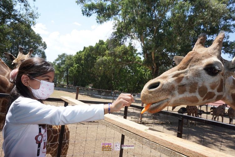 El verano se vive en el Zoo de Morelia con atractivos y experiencias educativas