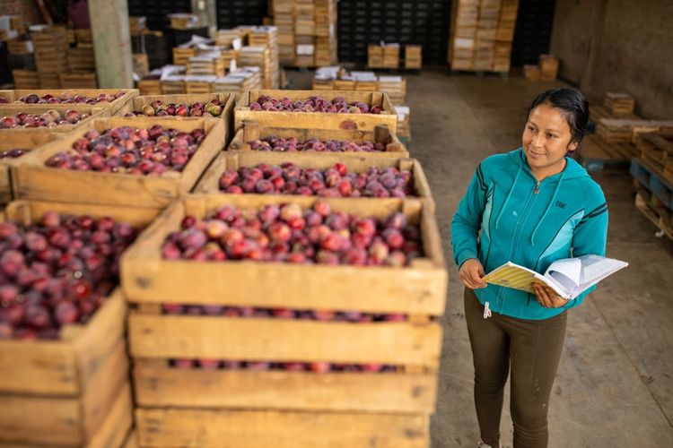 Feria frutícola de Jeráhuaro 2023
