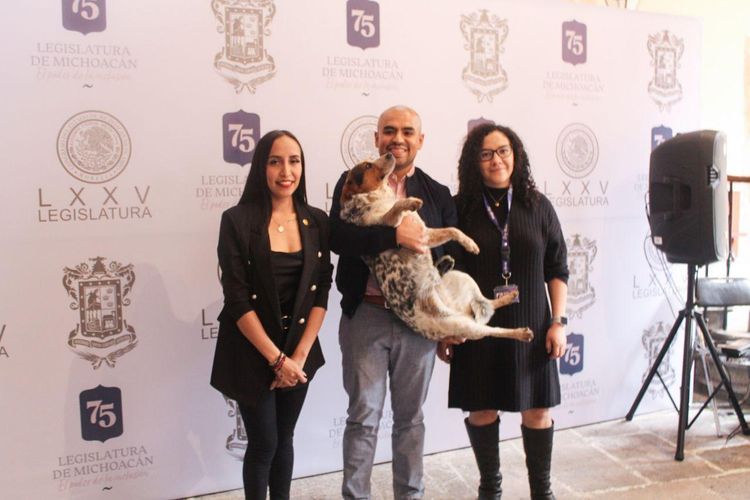 Invitan al Mascota Fest 2023 el sábado 28 octubre, en la Calzada.