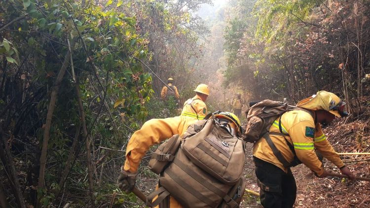 Controlado el 80% del incendio forestal de Uruapan