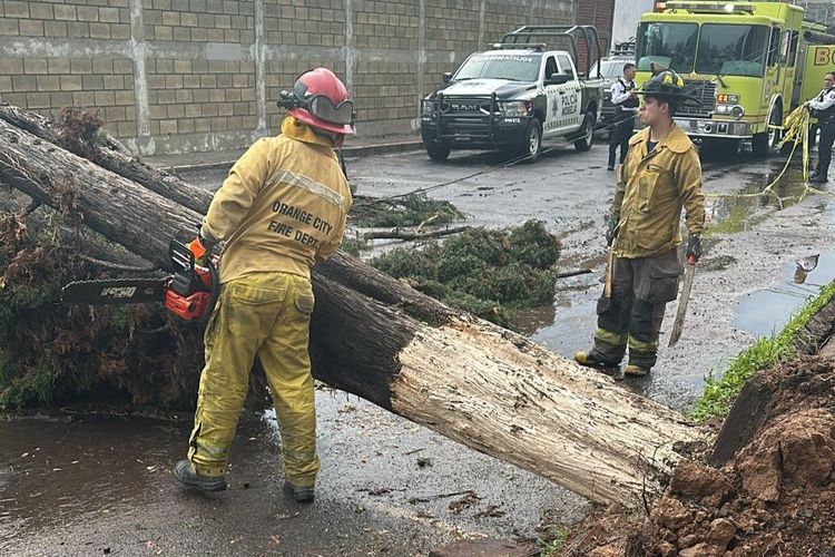 Protección Civil de Morelia atienden incidencias por lluvias de este miércoles