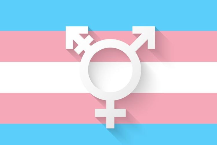 Hoy es el Día Internacional de la Visibilidad Transgénero.