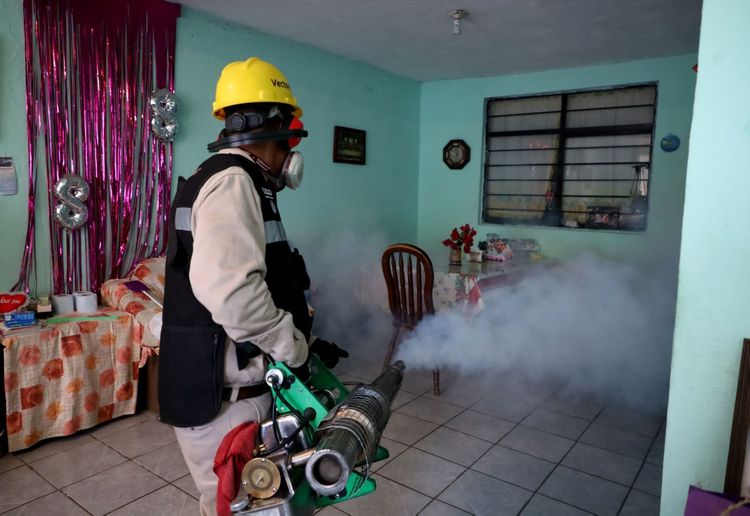 Se convierte Morelia en municipio crítico por dengue