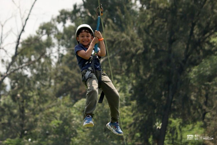 Vacaciones en Morelia, ¡animales asombrosos y experiencias únicas en el Zoológico!
