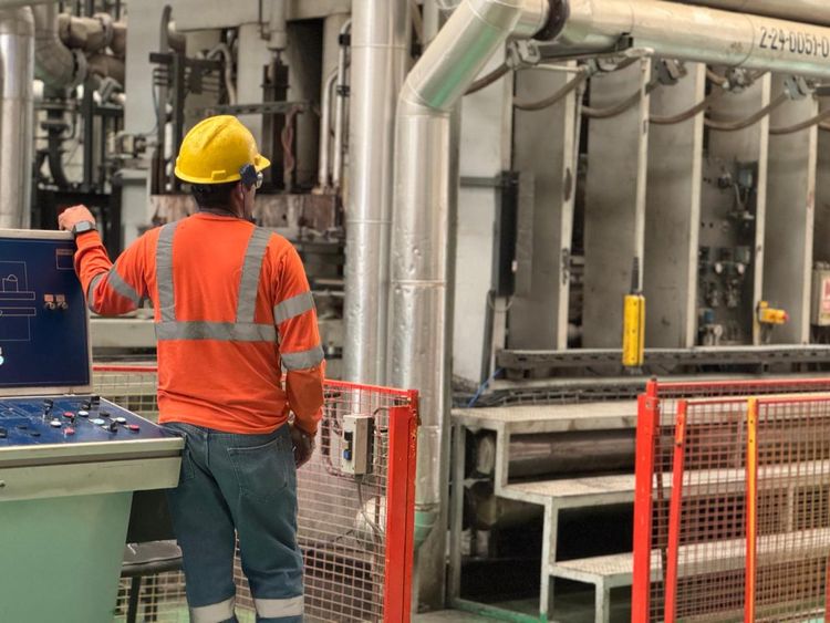 Inversiones extranjeras generan 7 mil empleos formales en Michoacán: Sedeco