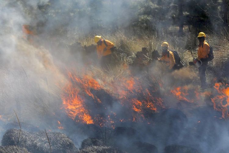 Michoacán, en etapa crítica por incendios forestales